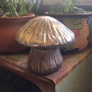 Mercury Glass Mushroom 🍄